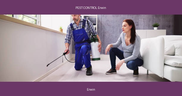 PEST CONTROL Erwin